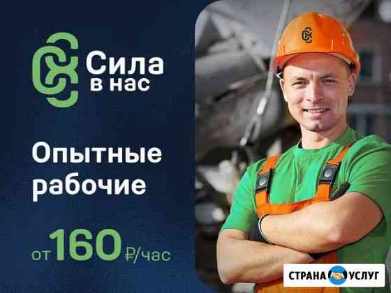 вывоз мусора с дачи в туле. Смотреть фото вывоз мусора с дачи в туле. Смотреть картинку вывоз мусора с дачи в туле. Картинка про вывоз мусора с дачи в туле. Фото вывоз мусора с дачи в туле