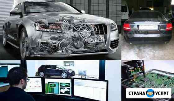 Чип тюнинг, гбо, евро-2, EGR, DPF, AdBlue Севастополь