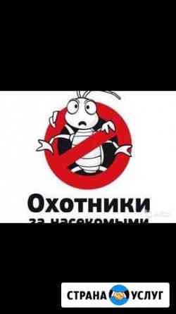бытовки для дачи в ярославской области. Смотреть фото бытовки для дачи в ярославской области. Смотреть картинку бытовки для дачи в ярославской области. Картинка про бытовки для дачи в ярославской области. Фото бытовки для дачи в ярославской области