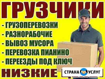 вывоз мусора с дачи в туле. Смотреть фото вывоз мусора с дачи в туле. Смотреть картинку вывоз мусора с дачи в туле. Картинка про вывоз мусора с дачи в туле. Фото вывоз мусора с дачи в туле