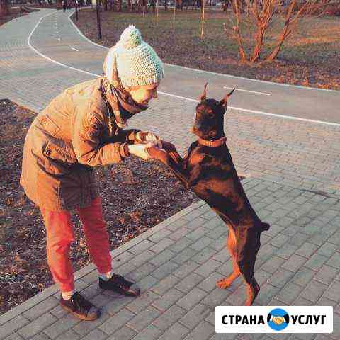 передержка собак в квартире. Смотреть фото передержка собак в квартире. Смотреть картинку передержка собак в квартире. Картинка про передержка собак в квартире. Фото передержка собак в квартире