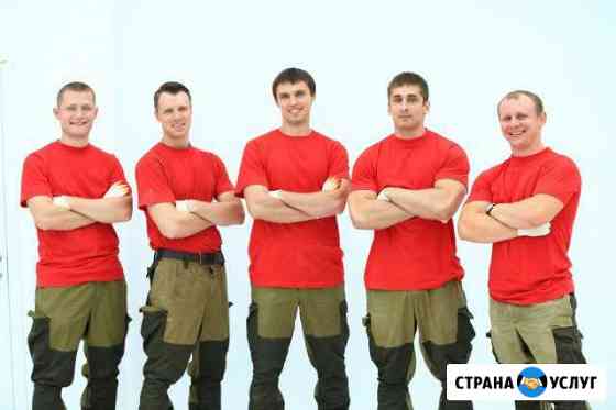 вывоз мусора с дачи в туле. Смотреть фото вывоз мусора с дачи в туле. Смотреть картинку вывоз мусора с дачи в туле. Картинка про вывоз мусора с дачи в туле. Фото вывоз мусора с дачи в туле