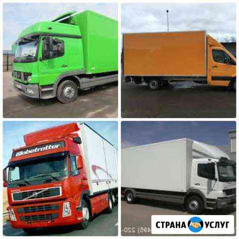 1831301m87b9cb63 грузоперевозки когалым по городу телефон