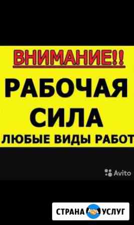 нужен рабочий на дачу на один день в чебоксарах. Смотреть фото нужен рабочий на дачу на один день в чебоксарах. Смотреть картинку нужен рабочий на дачу на один день в чебоксарах. Картинка про нужен рабочий на дачу на один день в чебоксарах. Фото нужен рабочий на дачу на один день в чебоксарах