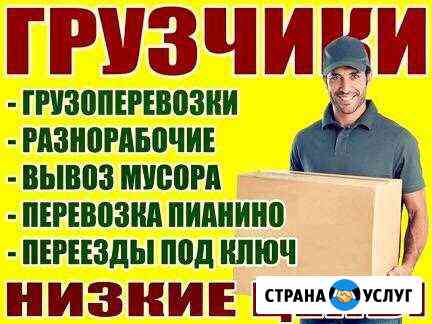 1921893ma2f62844 грузчики в ельце найти телефон