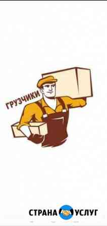 1936551m88b79de0 гортоп ленинск кузнецкий номер телефона