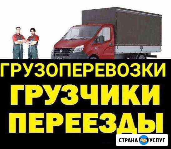 2050531m8c256058 грузоперевозки губкинский телефон по городу