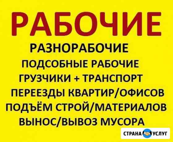 лучшие трактористы на вспашке зяби в башкирии. Смотреть фото лучшие трактористы на вспашке зяби в башкирии. Смотреть картинку лучшие трактористы на вспашке зяби в башкирии. Картинка про лучшие трактористы на вспашке зяби в башкирии. Фото лучшие трактористы на вспашке зяби в башкирии