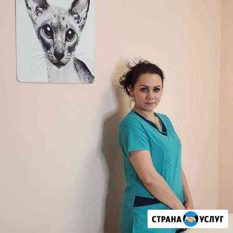 массаж лингама в липецке частные объявления на дому. Смотреть фото массаж лингама в липецке частные объявления на дому. Смотреть картинку массаж лингама в липецке частные объявления на дому. Картинка про массаж лингама в липецке частные объявления на дому. Фото массаж лингама в липецке частные объявления на дому