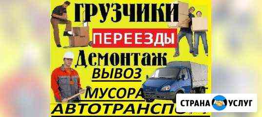 2440068mbcfb989b грузчики в ельце найти телефон