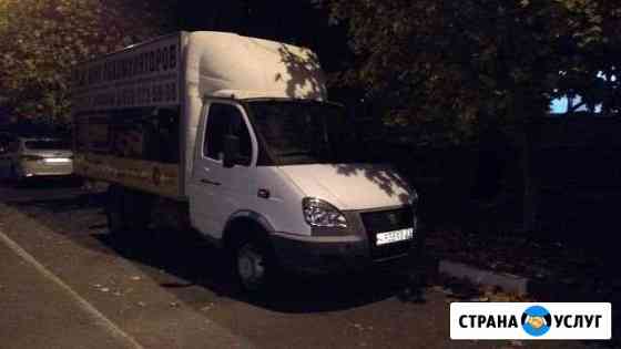 2495884m91ec7c8a губкин грузоперевозки газель дешево номера