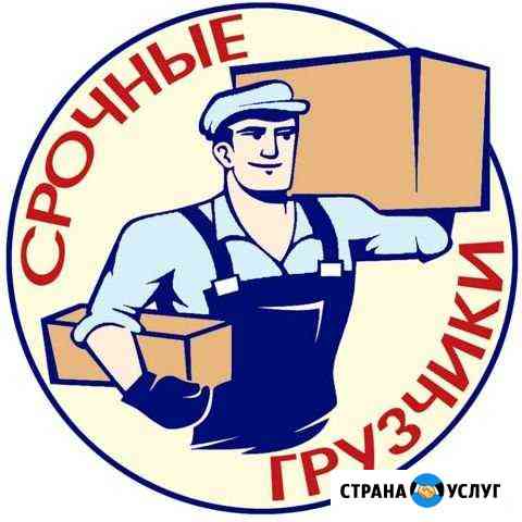 2508557me45b64ff грузоперевозки старая русса номера телефонов