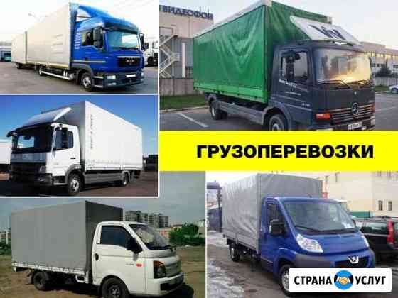 газель фермер на дачу. Смотреть фото газель фермер на дачу. Смотреть картинку газель фермер на дачу. Картинка про газель фермер на дачу. Фото газель фермер на дачу