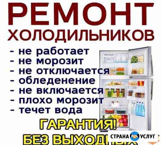 ремонт холодильников с выездом на дачу новгородская область. Смотреть фото ремонт холодильников с выездом на дачу новгородская область. Смотреть картинку ремонт холодильников с выездом на дачу новгородская область. Картинка про ремонт холодильников с выездом на дачу новгородская область. Фото ремонт холодильников с выездом на дачу новгородская область