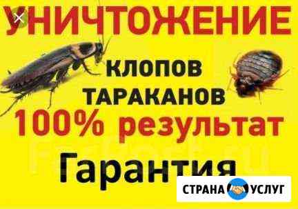 частные объявления помощь в уборке квартиры. 2693206m65b00c57. частные объявления помощь в уборке квартиры фото. частные объявления помощь в уборке квартиры-2693206m65b00c57. картинка частные объявления помощь в уборке квартиры. картинка 2693206m65b00c57. Чтобы начать, уточните пожелания к специалисту