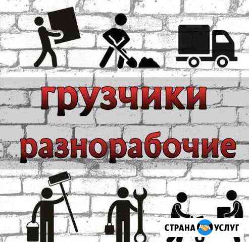 лучшие трактористы на вспашке зяби в башкирии. Смотреть фото лучшие трактористы на вспашке зяби в башкирии. Смотреть картинку лучшие трактористы на вспашке зяби в башкирии. Картинка про лучшие трактористы на вспашке зяби в башкирии. Фото лучшие трактористы на вспашке зяби в башкирии