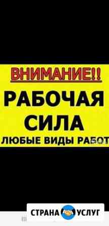 нужен рабочий на дачу на один день в чебоксарах. Смотреть фото нужен рабочий на дачу на один день в чебоксарах. Смотреть картинку нужен рабочий на дачу на один день в чебоксарах. Картинка про нужен рабочий на дачу на один день в чебоксарах. Фото нужен рабочий на дачу на один день в чебоксарах