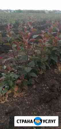 2725453mf8fe253c доставка воды кущевская номер телефона