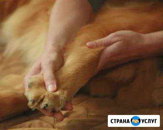 массаж в барнауле для мужчин частные объявления на дому. Смотреть фото массаж в барнауле для мужчин частные объявления на дому. Смотреть картинку массаж в барнауле для мужчин частные объявления на дому. Картинка про массаж в барнауле для мужчин частные объявления на дому. Фото массаж в барнауле для мужчин частные объявления на дому