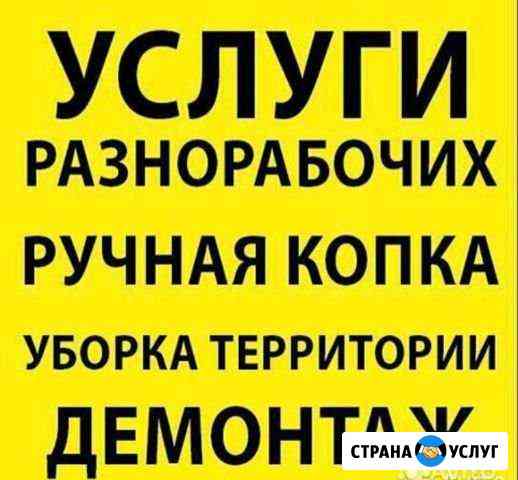 нужен рабочий на дачу на один день в чебоксарах. Смотреть фото нужен рабочий на дачу на один день в чебоксарах. Смотреть картинку нужен рабочий на дачу на один день в чебоксарах. Картинка про нужен рабочий на дачу на один день в чебоксарах. Фото нужен рабочий на дачу на один день в чебоксарах